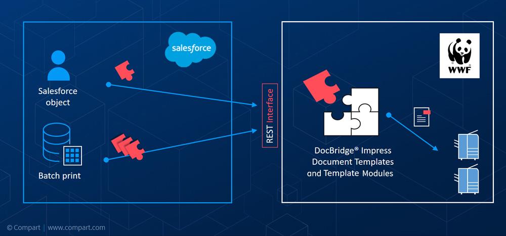 Salesforce Document Creation