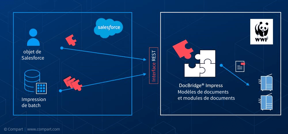 Création de documents Salesforce