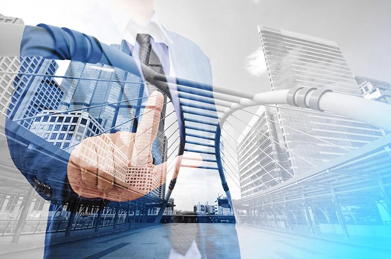 A DocBridge is a Value Bridge