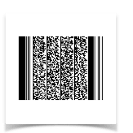 PDF 417 Barcode