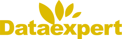 Data expert Logo